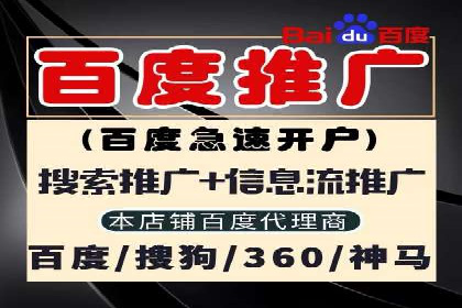 某企业通过SEM托管实现竞价推广新高度
